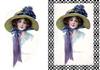 blue flower hat plc