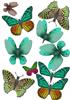 mint butterfly embellishments