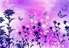 Backgrounds Flutters 3-DWJ