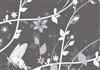 a touch of silver flutters