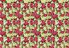 Pointsetta background-DWJ