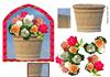 potted roses