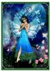 Peacock Fairy-DWJ