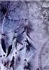 dreamcatcher background