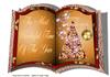 book gold and red
