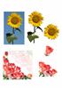 floral toppers decoupage rose sunflower