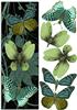 minty flutters