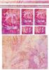 Pink Dancers