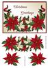 Christmas Greetings