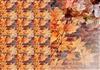 autumn duo background