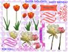 colour tulips design sheet