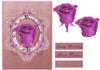 pink rose in vintage frame