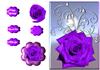 velvet rose plc