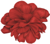 Red Flower 1a