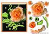 delicate flower card front