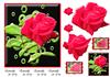 delicate red rose