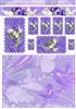 Iris Scallop