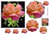 delicate rose floral pyramid