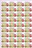 tulip duet background paper
