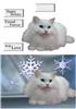 kitty plc