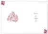 Wedding Day Insert in Pink