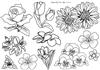 Floral Digital Stamp Set 2