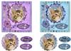 2 square cards (Cats N o1)