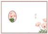 Red Poppy Insert
