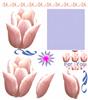Tulip painting sheet