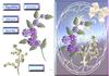 flower cage plc