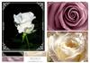 3 Rose Toppers & Tiles