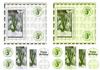 2 square card toppers (snowdrops)