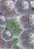 Silver Glitter bauble background - 360 DPI