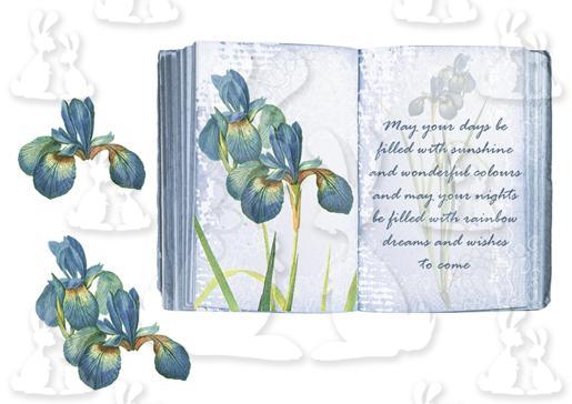 Iris Open Book A5 Topper + decoupage
