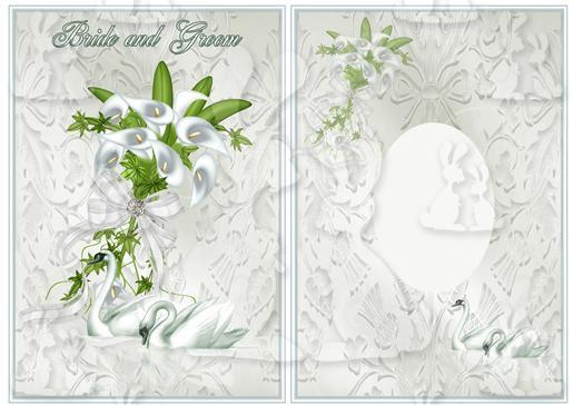 Bride and groom Card front and insert