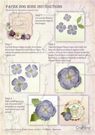 Dog Rose Instruction Sheet