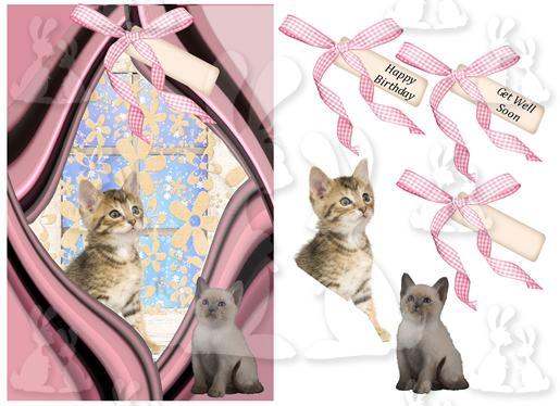 A5 card (Cats No 1)