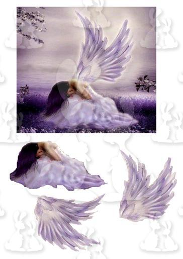 Angel