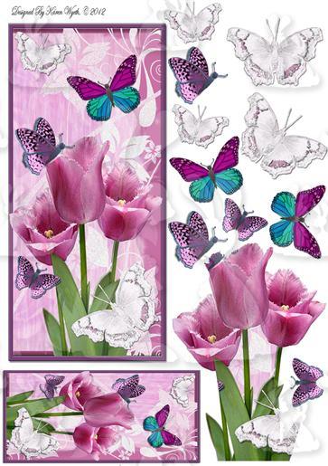 Flutter Tulips DL