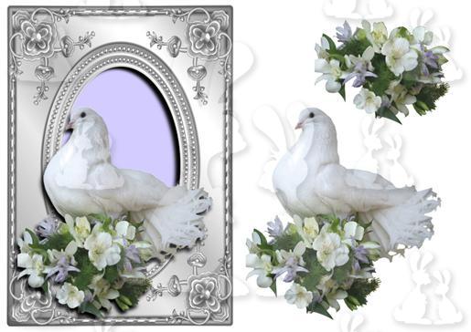 Silver Dove & Flowers + decoupage