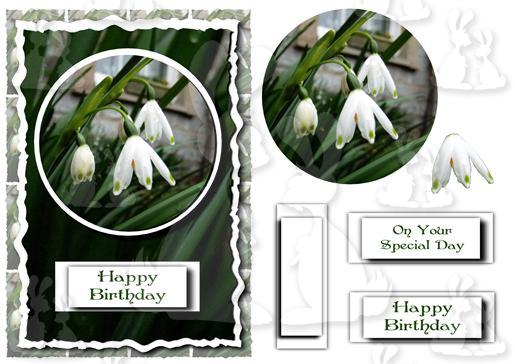 Snowdrops