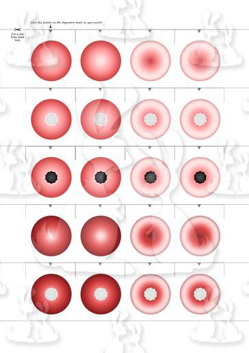 Petal Pairs 1