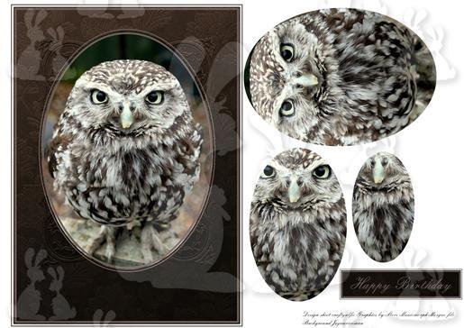 Owl brown card front