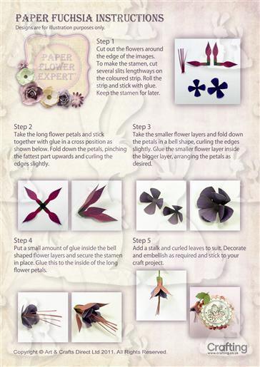 Fuchsia Instruction Sheet