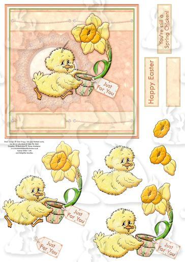 YOU'RE STILL A SPRING CHICKEN! Decoupage