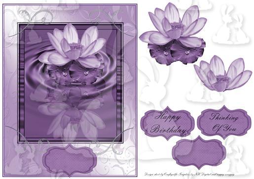 Water lilly in Lilac