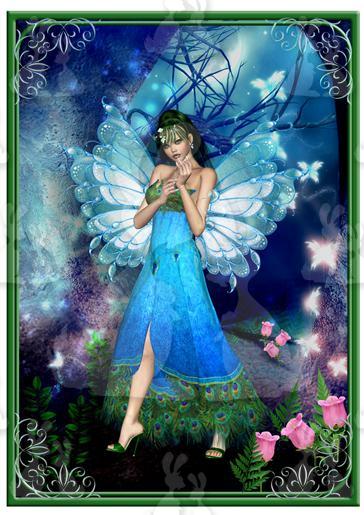 Peacock Fairy-DWJ