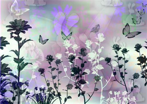 Backgrounds Flutters 4-DWJ