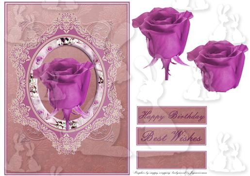 pink rose in vintage frame