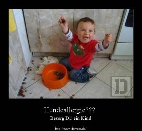 Hundeallergie???